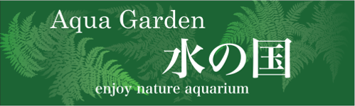 Aqua Garden 水の国